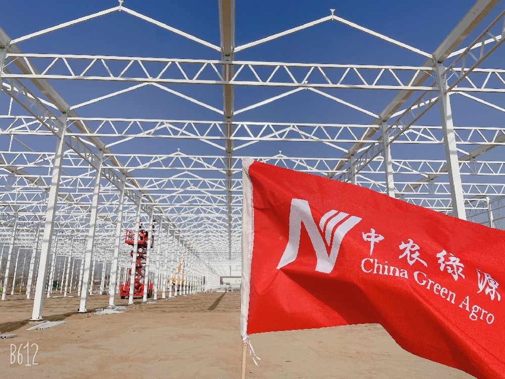 Beijing Association Showcases China Green Agro is Modern Greenhouse Initiative