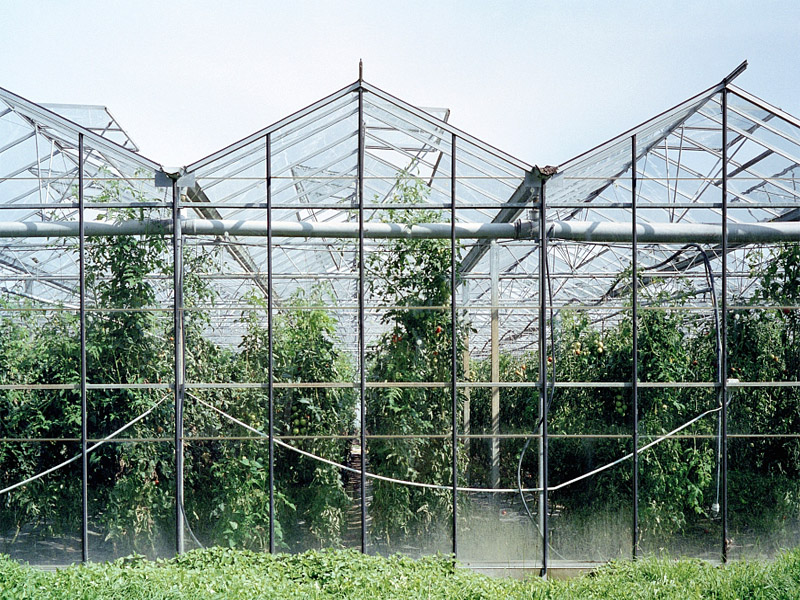 Common Maintenance Methods for Glass Greenhouses