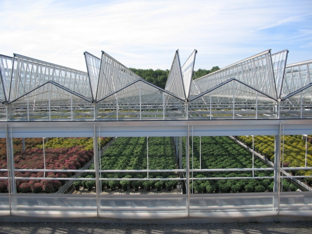 How to Choose the Right Greenhouse Covering Material